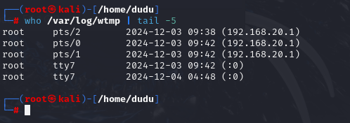 image-20241213145247261