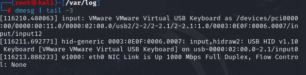 image-20241213145443253