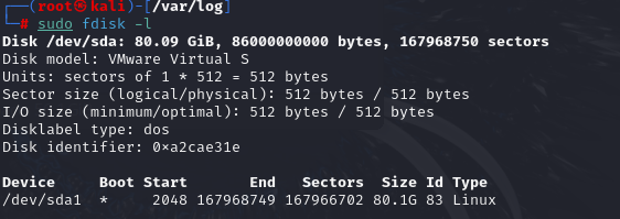 image-20241213145929157