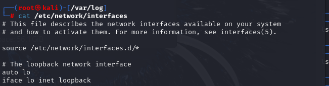 image-20241213150652619