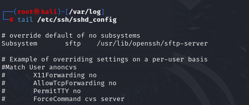 image-20241213151545742